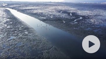 曽根干潟：北九州市PR動画「ESSENCE OF KITAKYUSHU」